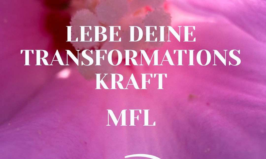 Banner Transformation - 2